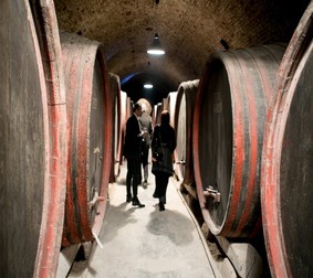 Conac - Str. 3 160, sat MANASIA; comuna MANASIA, judetul Ialomita