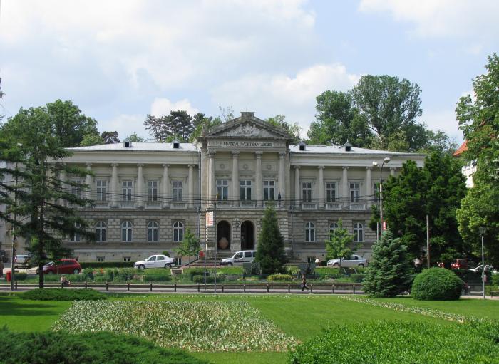 Vechea Prefectura, azi Muzeul Judetean Arges - Str. Călinescu Armand 44, municipiul PITESTI, judetul Arges