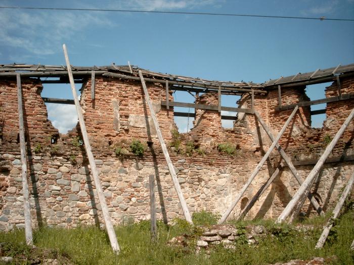 Ruine zid de incinta - , sat FEDELESOIU; comuna DAESTI, judetul Valcea