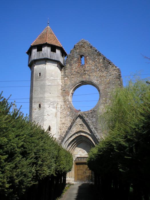 Ansamblul fostei manastiri cisterciene - 111, sat CARTA; comuna CARTA, judetul Sibiu
