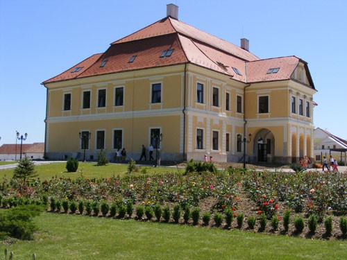 Castel - 379, sat SATULUNG; comuna SATULUNG, judetul Maramures
