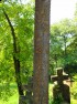 Monumentele funerare din cimitir