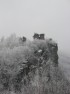 Incintă fortificată (ruine)