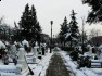 Cimitirul eroilor căzuţi în Revoluţia din Decembrie 1989