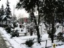 Cimitirul eroilor căzuţi în Revoluţia din Decembrie 1989